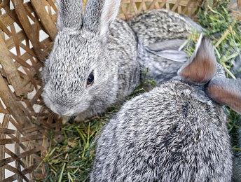 《命运2》扩展开放权限月现在开始